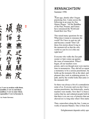 Pages Excerpt